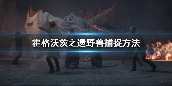 霍格沃茨之遗野兽怎么抓