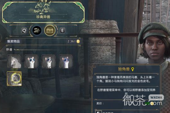 霍格沃茨之遗快速刷钱技巧攻略一览