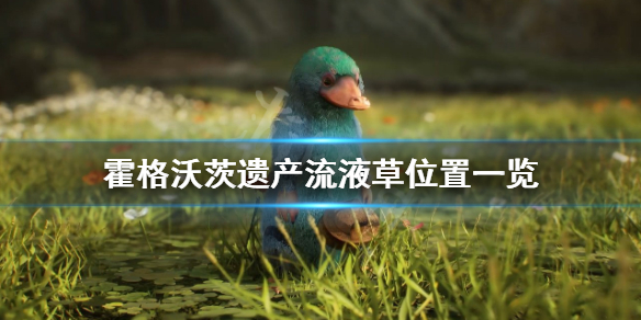 霍格沃茨之遗流液草在哪