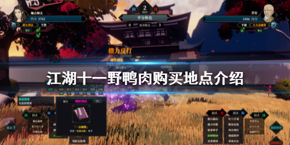 江湖十一野鸭肉在哪买