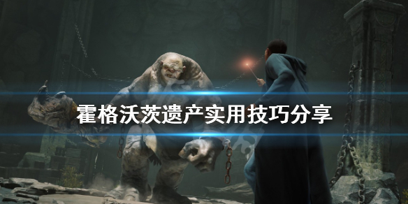 《霍格沃茨之遗》怎么玩？实用技巧分享