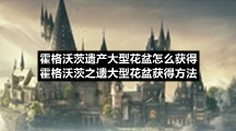 霍格沃茨遗产大型花盆怎么获得-霍格沃茨之遗大型花盆获得方法