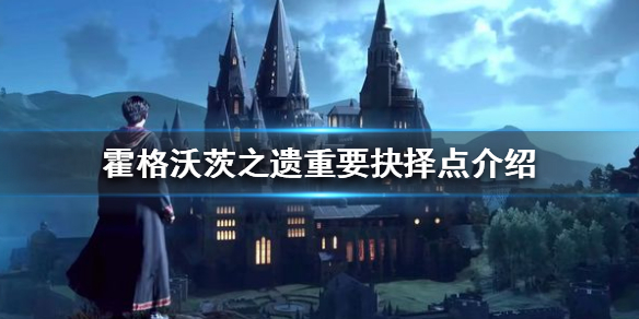 《霍格沃茨之遗》重要抉择点有哪些？重要抉择点介绍