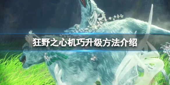 《狂野之心》机巧怎么升级？机巧升级方法介绍