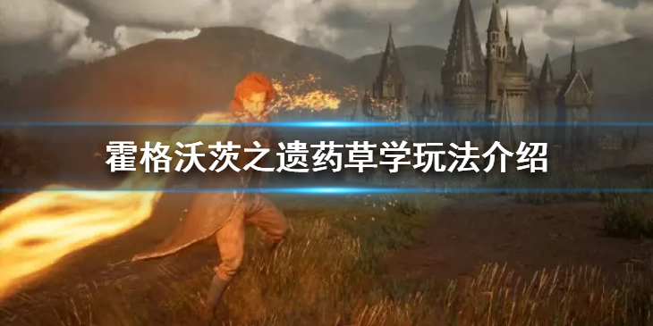 《霍格沃茨之遗》药草学怎么玩？霍格沃茨之遗药草学玩法介绍