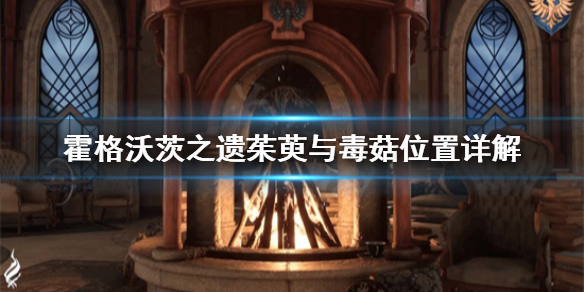 《霍格沃茨之遗》茱萸与毒菇在哪？茱萸与毒菇位置详解