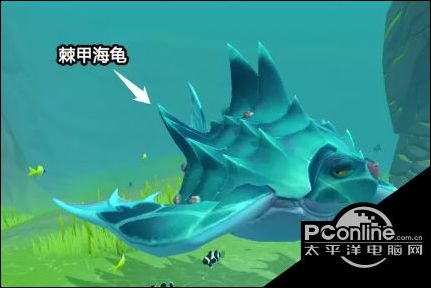 创造与魔法棘甲海龟捕捉方法