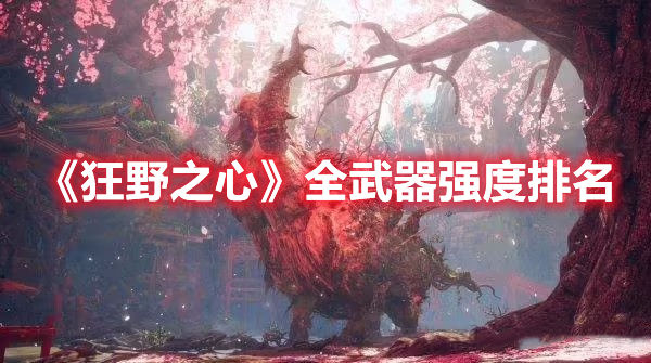狂野之心全武器强度排名