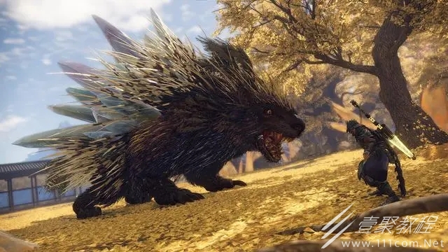 狂野之心武器装备系统介绍