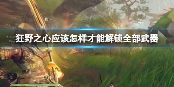 《狂野之心》应该怎样才能解锁全部武器？解锁全部武器方法