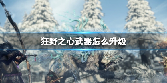 《狂野之心》武器怎么升级?前期武器升级攻略