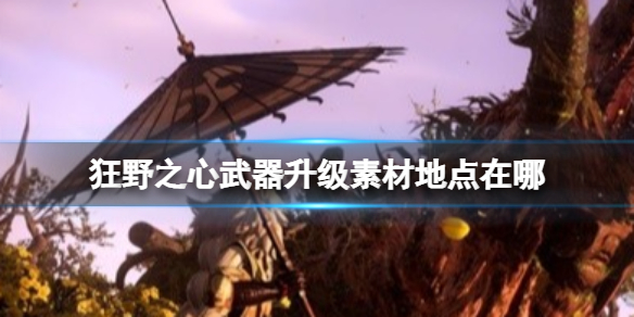 《狂野之心》武器升级素材地点在哪?武器升级素材获取途径