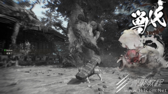 狂野之心新手实用技巧心得一览