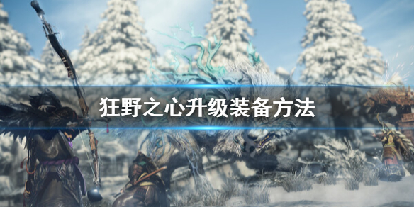 《狂野之心》怎么升级装备？升级装备方法