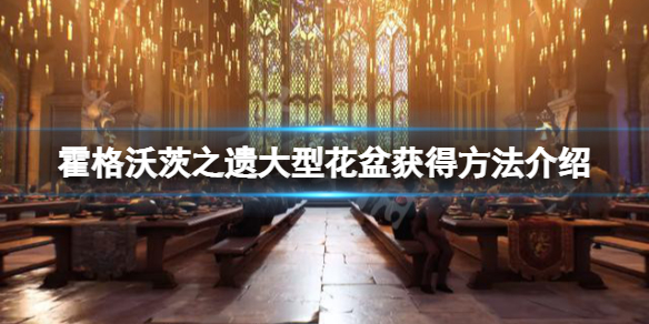 《霍格沃茨之遗》大型花盆怎么获得？大型花盆获得方法介绍