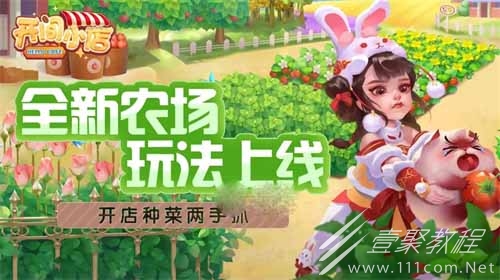 开间小店农场怎么玩