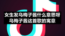 女生发乌梅子酱什么意思呀-乌梅子酱这首歌的寓意