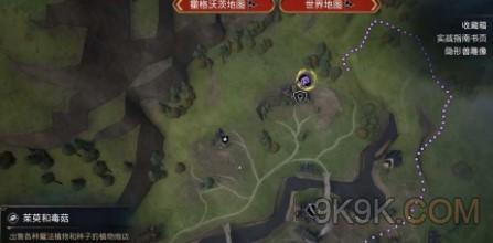 霍格沃茨之遗茱萸和毒菇位置一览