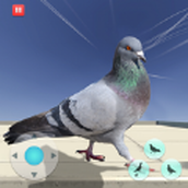 饥饿的鸽子模拟器免费正版