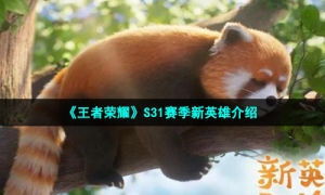 《王者荣耀》S31赛季新英雄介绍