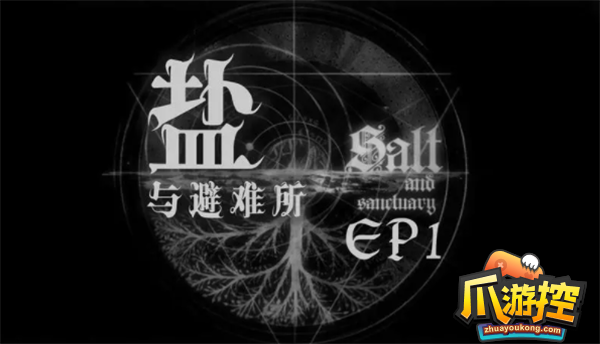 盐与避难所怎么联机