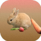 拼个胡萝卜安装包