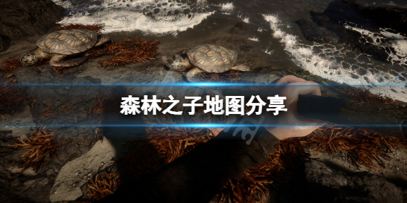《森林之子》地图分享 游戏大地图一览