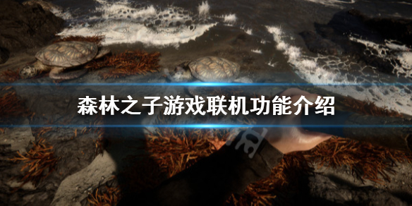 《森林之子》可以跨平台吗？游戏联机功能介绍