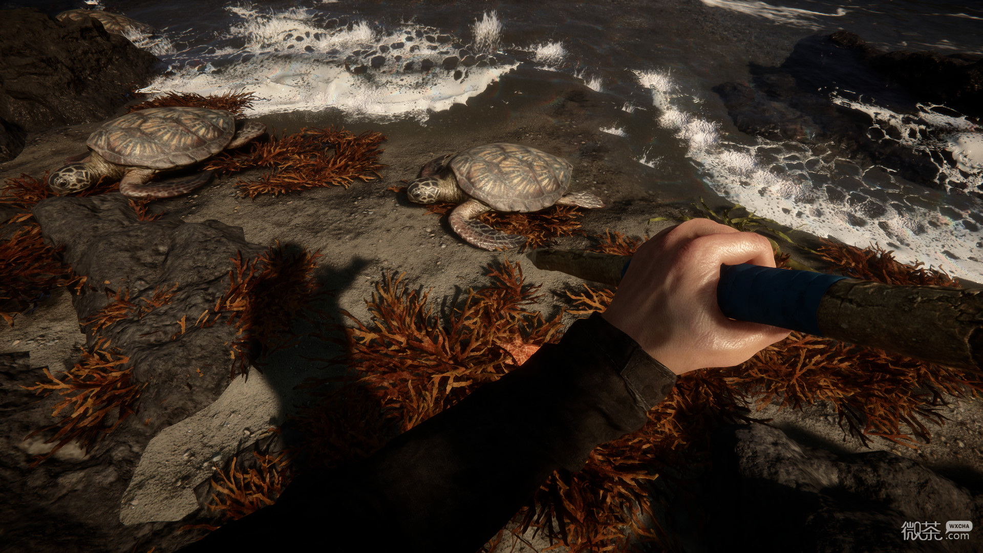 森林之子食物获取途径攻略一览