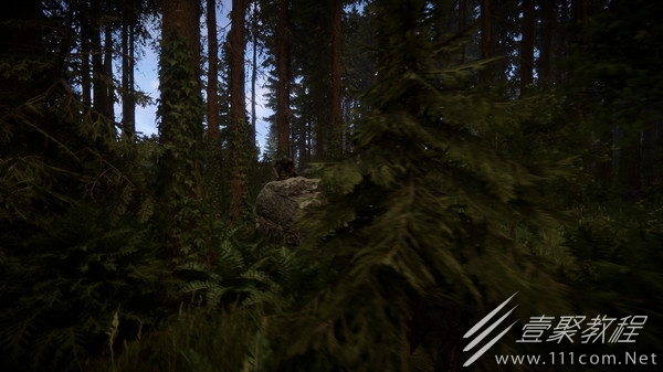 森林之子呼吸器和电击枪位置一览