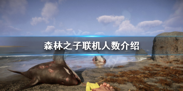 《森林之子》可以几个人玩？联机人数介绍