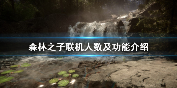 《森林之子》能联机吗？联机人数及功能介绍