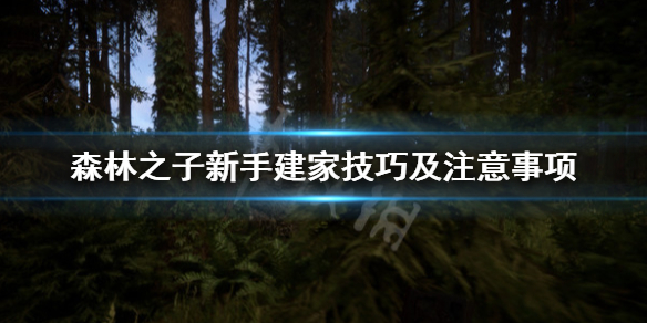 《森林之子》怎么建家？新手建家技巧及注意事项