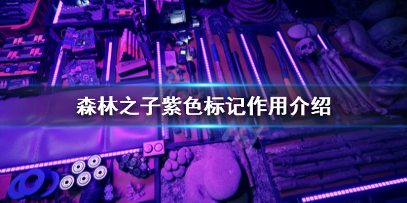 《森林之子》紫色的点是什么？紫色标记作用介绍