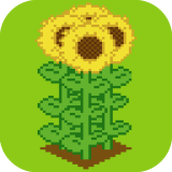 农夫的菜地下载安装