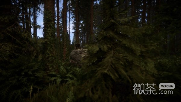 森林之子凯文复活方法攻略