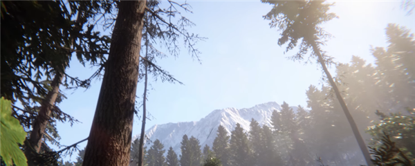 森林之子尼泊尔军刀在哪里获得尼泊尔军刀获取攻略