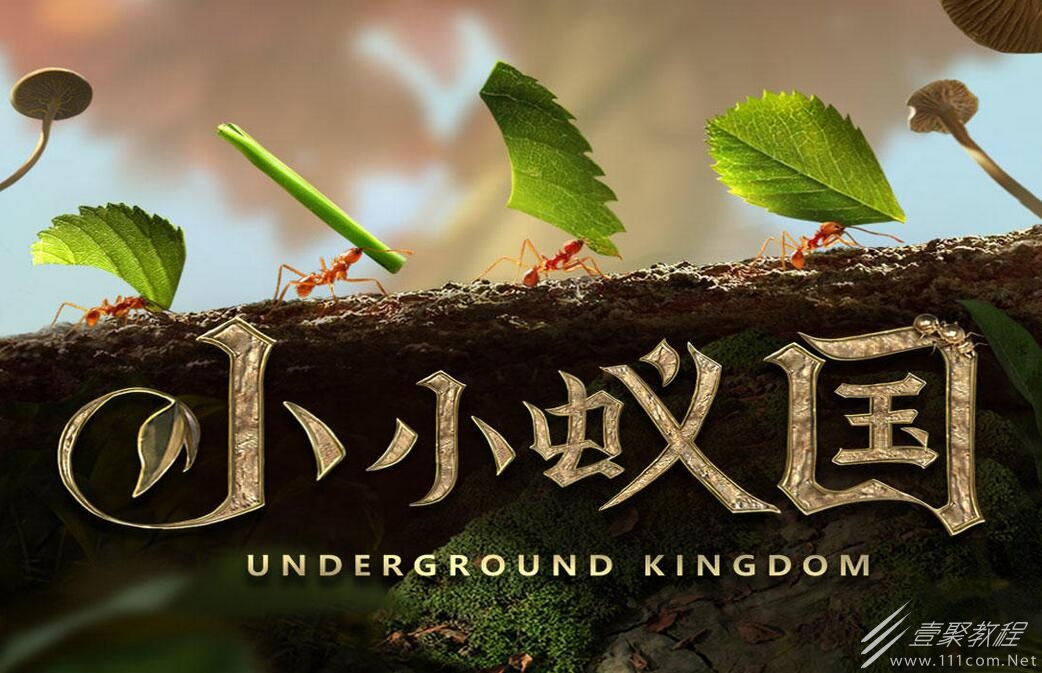 小小蚁国最强特化蚁怎么搭配