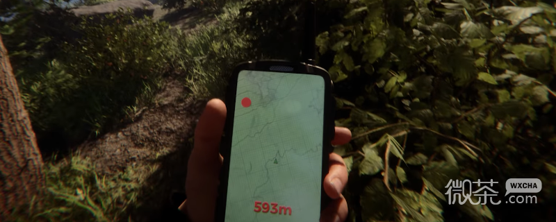 森林之子ID卡在哪里攻略