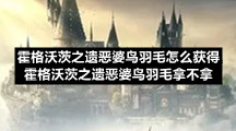 霍格沃茨之遗恶婆鸟羽毛怎么获得霍格沃茨之遗恶婆鸟羽毛拿不拿