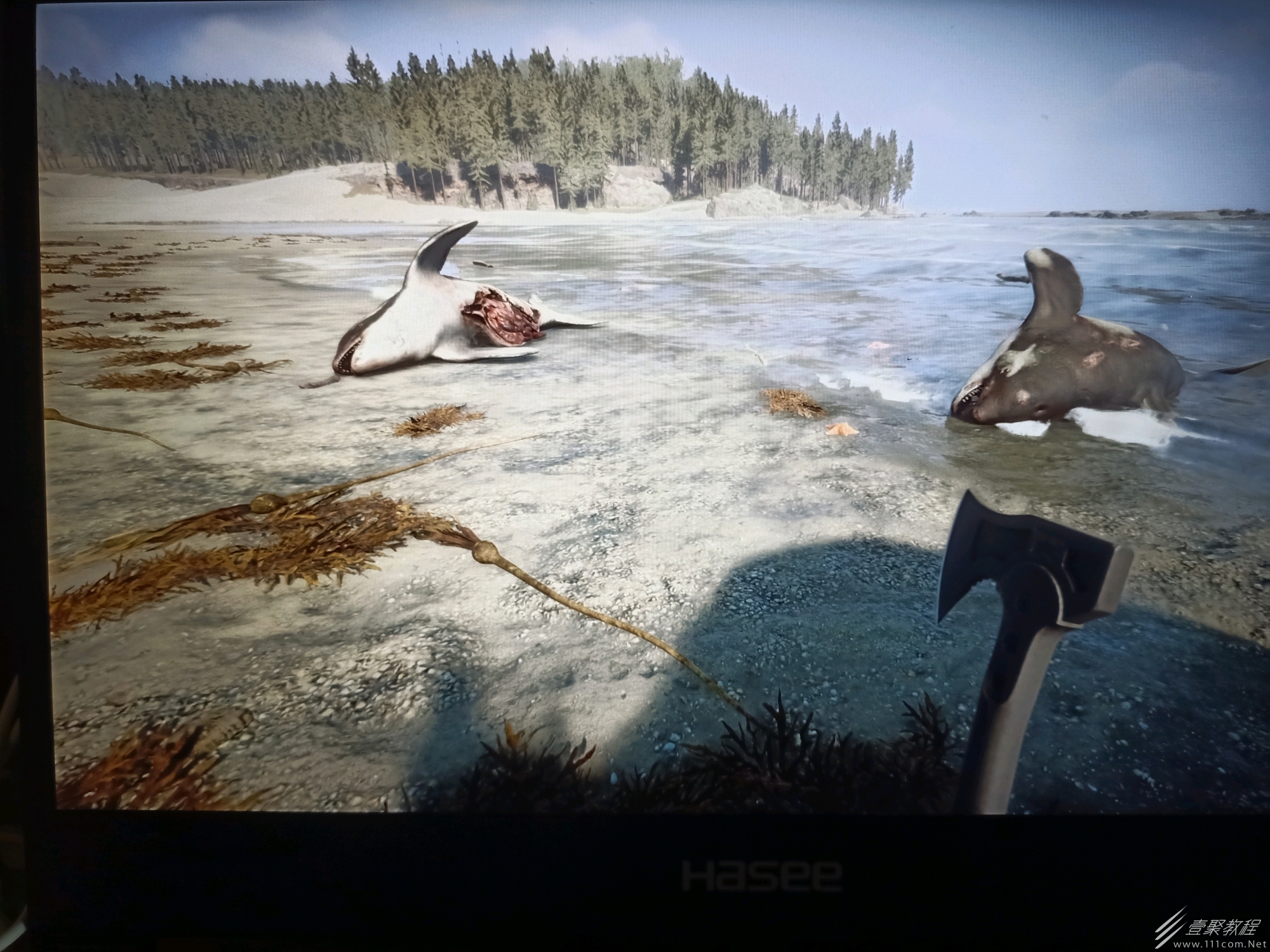 森林之子绳子如何获取