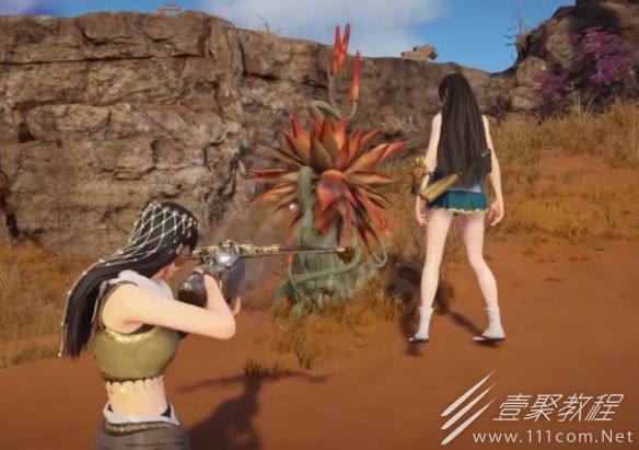 永劫无间火罗国仙人掌的地点位置介绍