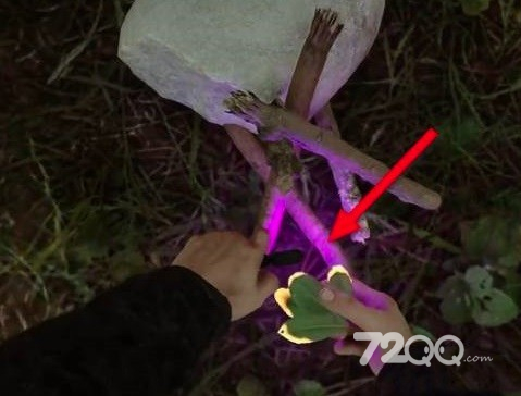 《森林之子》篝火制造方法