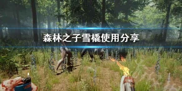 《森林之子》雪橇使用分享  雪橇怎么使用？