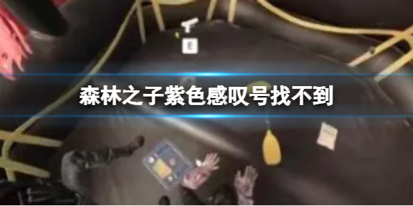 《森林之子》紫色感叹号找不到 紫色感叹号都有些什么东西