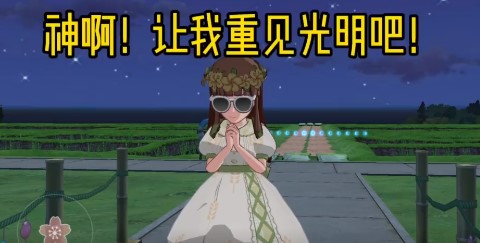 小森生活怎么流星许愿-小森生活流星许愿方法介绍