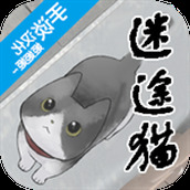 迷途猫最新版