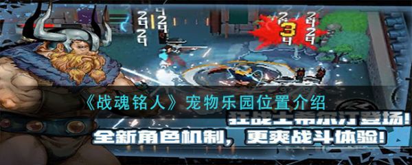 战魂铭人宠物乐园位置介绍