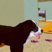 狗狗家庭陪伴手机版