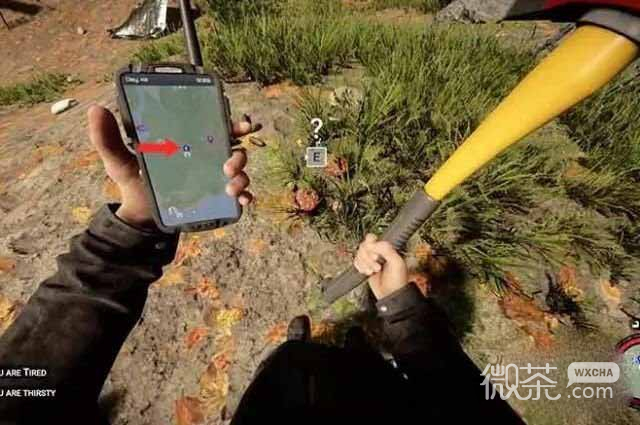 森林之子野人消失的原因一览